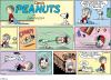 Peanuts-20080504.jpg - 