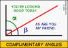 0535-20121215 - Complimentary Angles.png - 