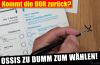 1513 - Wahl aktuell.jpg - 