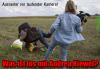 2136 - Skandal-Video schockiert die Welt.jpg - 