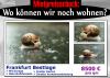 1231 - Wohnen im Eigenschleim.jpg - 