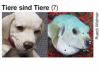 3148 - Tiere sind Tiere 7.jpg - 