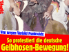 2339 - Von wegen Vorbild Frankreich.png - 