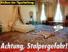 1121 - Risiken der Tigerhaltung.jpg - 