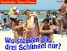 1476 - Fieberhafte Suche.jpg - 