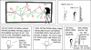 0350 - Network.png - 