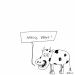 20110525 - Was sagt die Kuh zu gefaehrdetem Gemuese.jpg - 