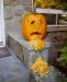 pumpkin vomitting.jpg - 