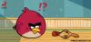 angry bird meets amazing alex.jpg - 
