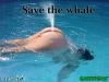 save the whale.jpg - 